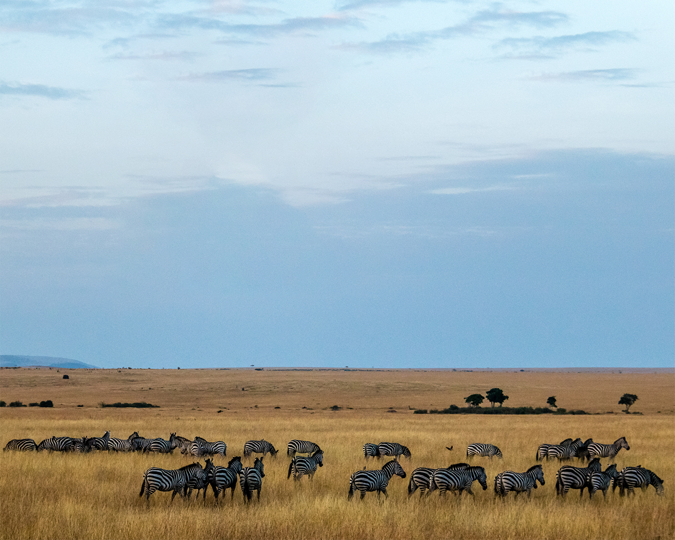 kenya plain