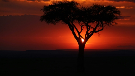 when to travel to kenya
