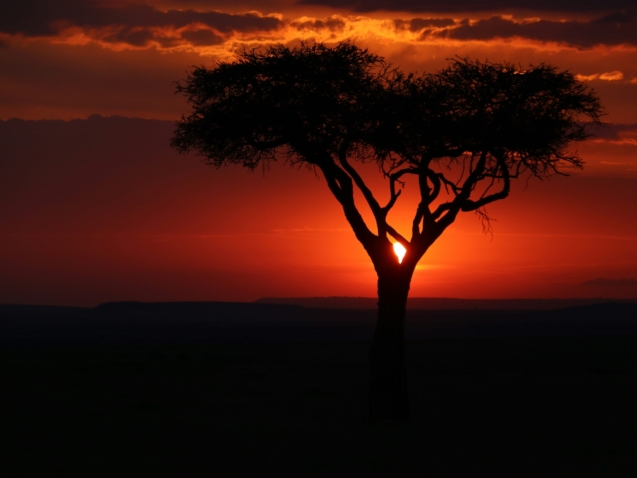 when to travel to kenya